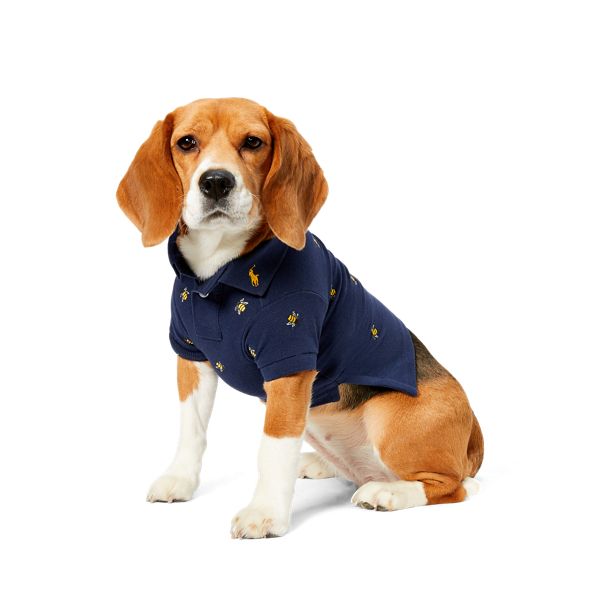 Polo para cães Bumblebee Ralph Lauren Pet 1