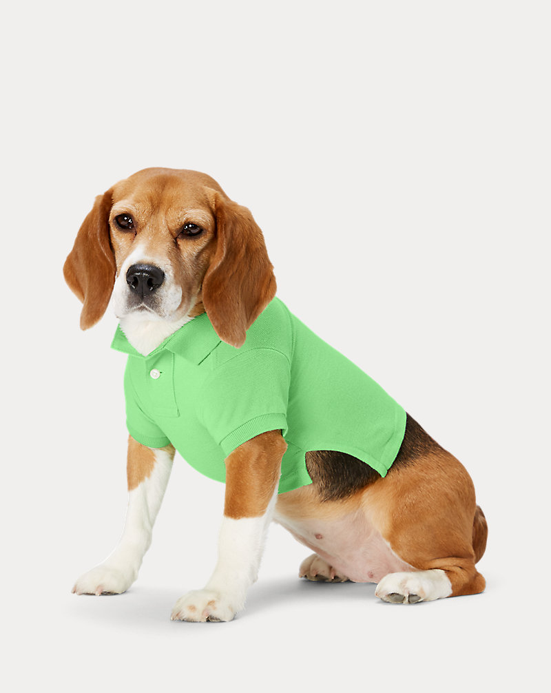 Camisa Polo para cão em malha Big Pony Ralph Lauren Pet 1