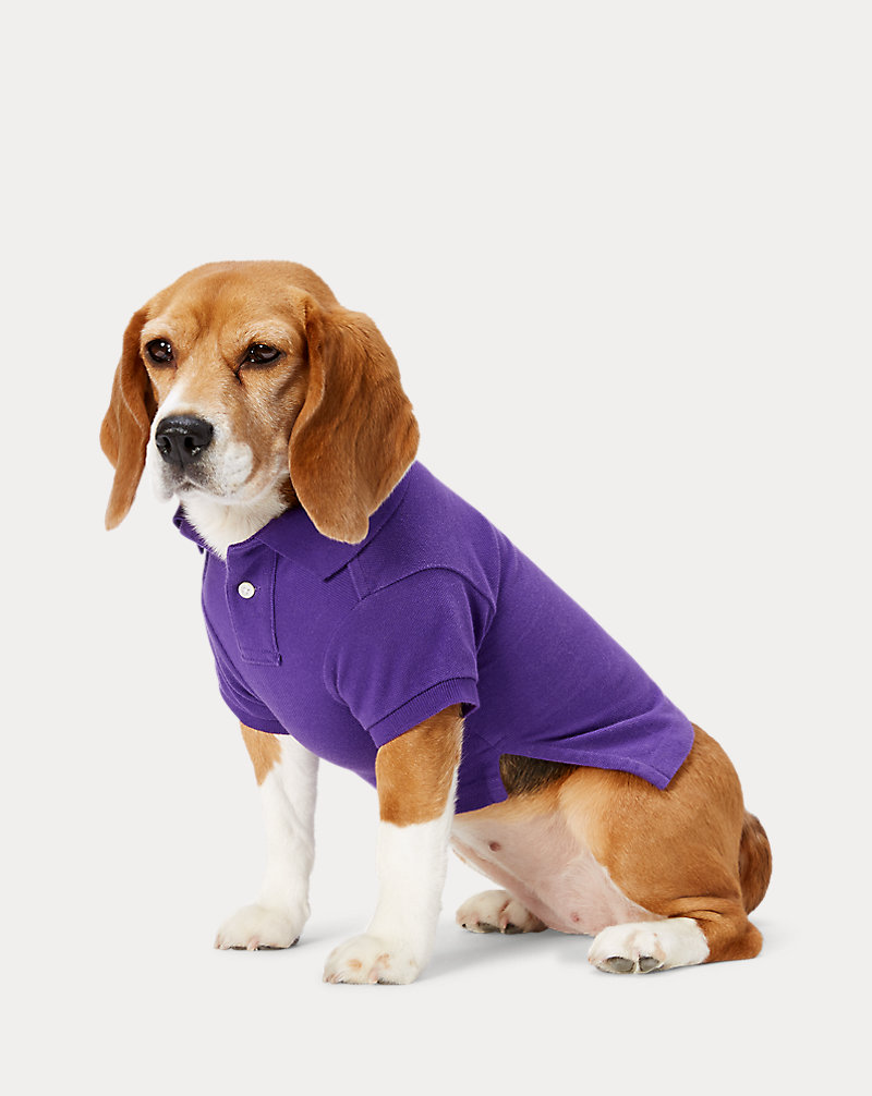 Big Pony Mesh Dog Polo Shirt Ralph Lauren Pet 1