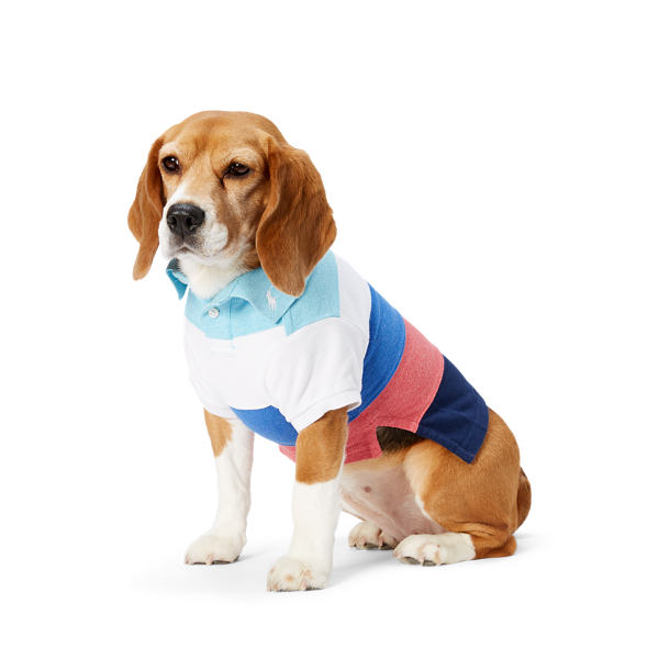 Striped Mesh Dog Polo Shirt Ralph Lauren Pet 1