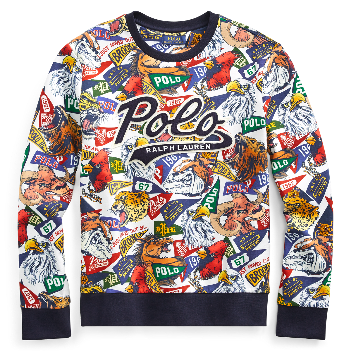 Ralph lauren double knit graphic 2025 sweatshirt