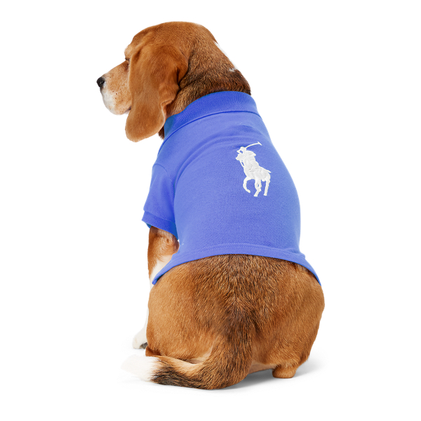 Polo ralph hotsell lauren dog shirt