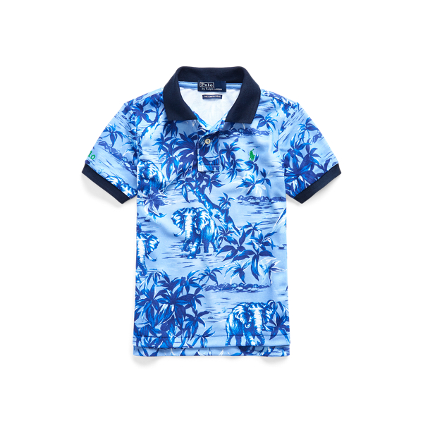 The Earth Polo