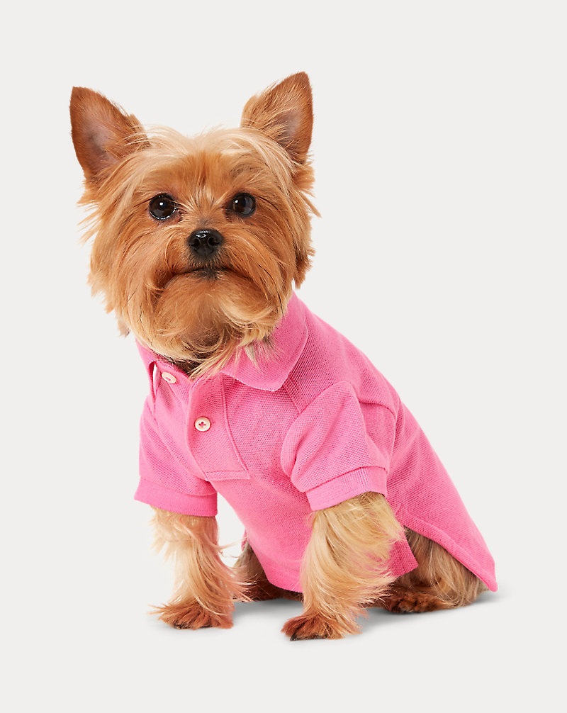 Camisa Polo para cão em malha Big Pony Ralph Lauren Pet 1