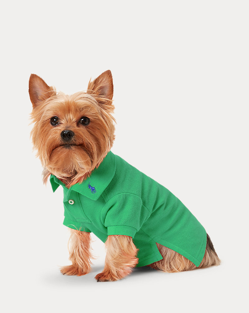Hunde-Polohemd aus Baumwollpiqué Ralph Lauren Pet 1