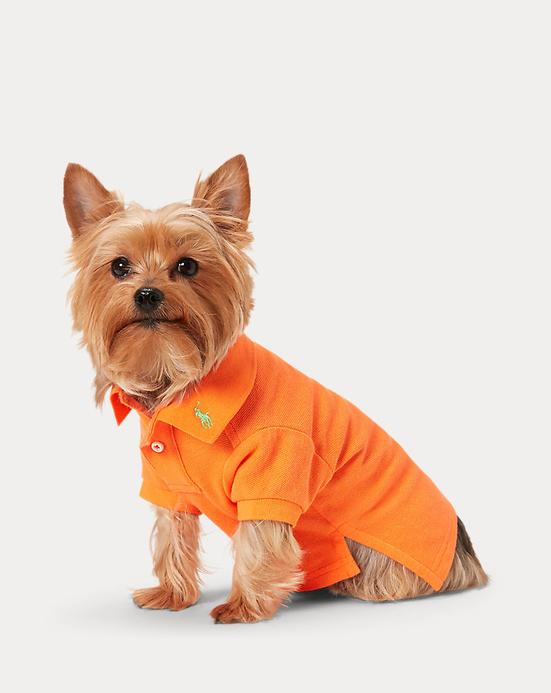 Camisa Polo em malha de algodão para cão Ralph Lauren Pet 1