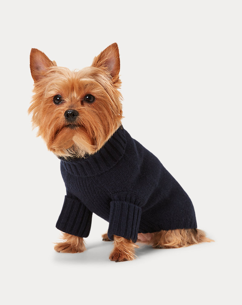 Pull Polo Bear pour chien en laine Ralph Lauren Pet 1
