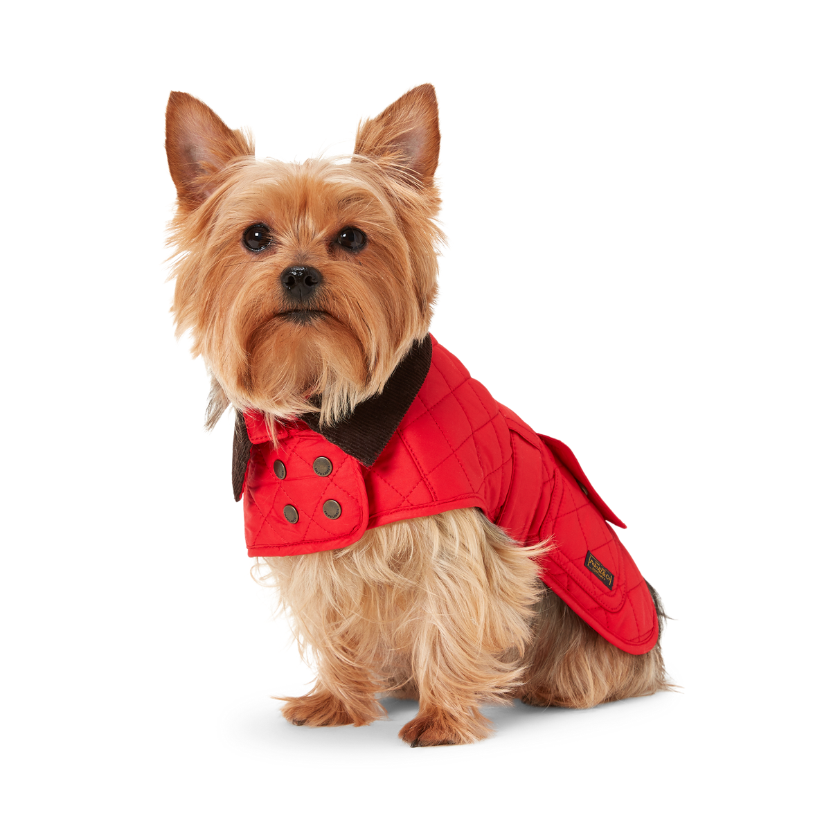 Ralph lauren shop fleece dog hoodie