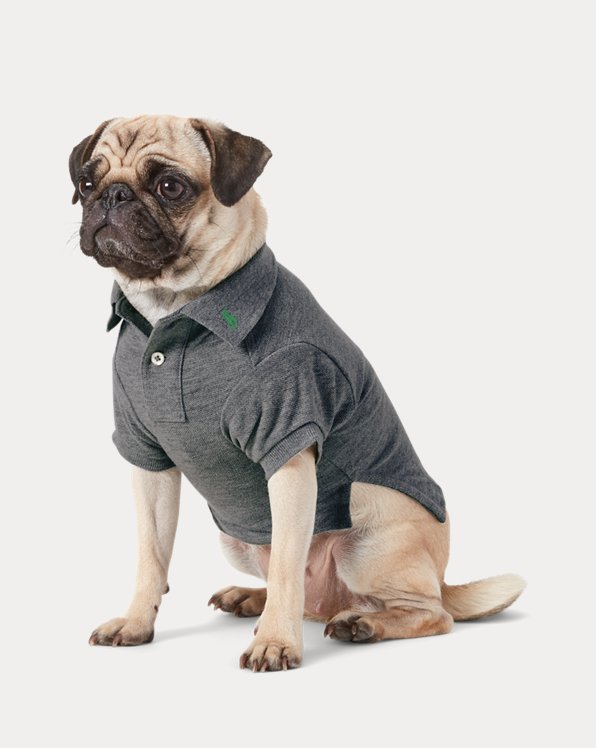 Camisa Polo em malha de algodão para cão