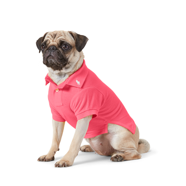 Cotton Mesh Dog Polo Shirt