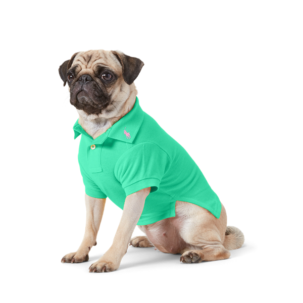 Cotton Mesh Dog Polo Shirt Ralph Lauren Pet 1