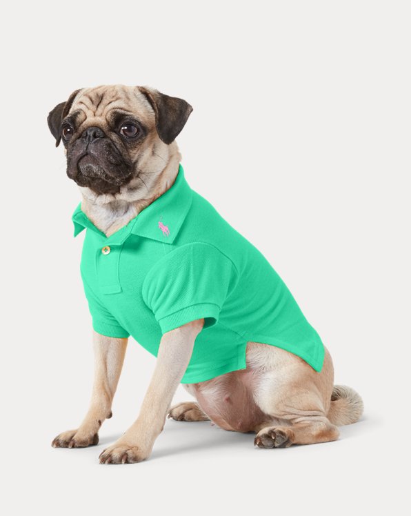 Cotton Mesh Dog Polo Shirt