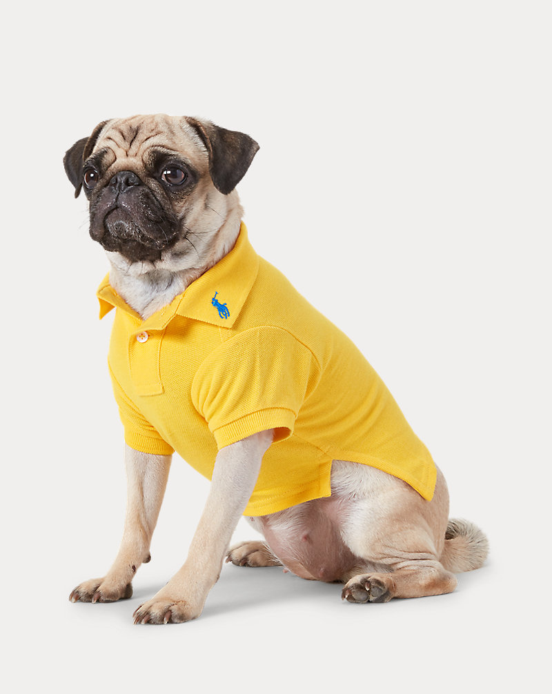Polo pour chien en coton piqué Ralph Lauren Pet 1