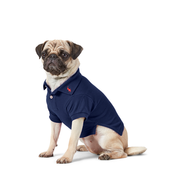 Ralph Lauren Dog Sweater