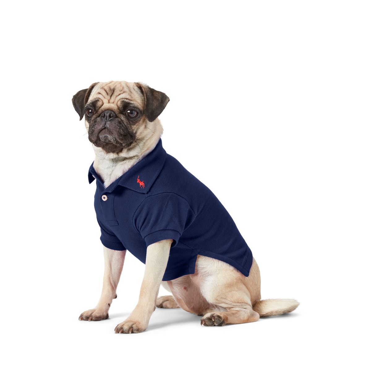 Cotton Mesh Dog Polo Shirt | Ralph Lauren