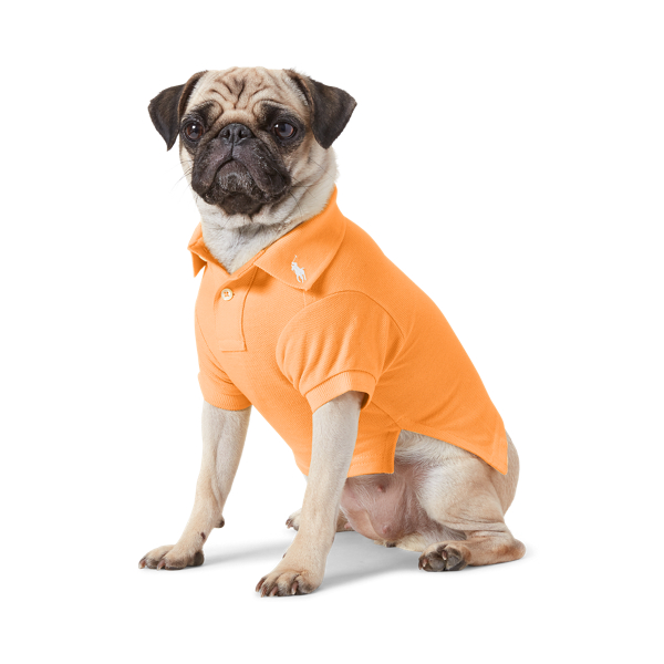 Cotton Mesh Dog Polo Shirt Ralph Lauren Pet 1