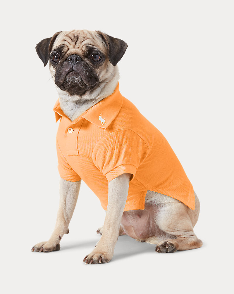 Katoenen mesh Polo-shirt voor honden Ralph Lauren Pet 1