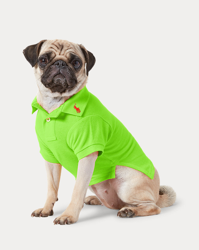 Katoenen mesh Polo-shirt voor honden Ralph Lauren Pet 1