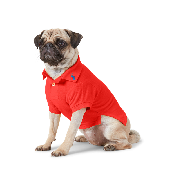 pug polo shirt