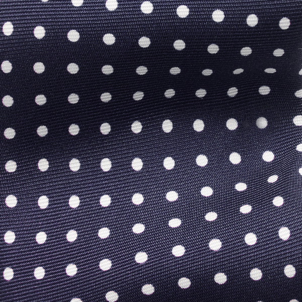 Polo Ralph Lauren Polka-Dot Silk Narrow Tie 3