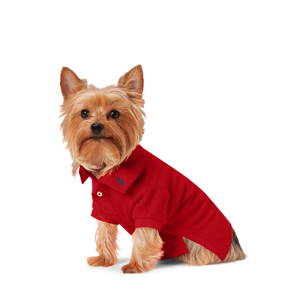 Ralph lauren dog 2024 jacket