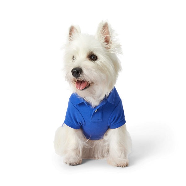 Polo Bear Cotton Mesh Dog Polo Shirt
