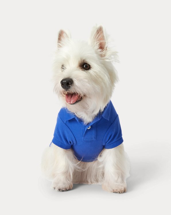 Polo Bear Cotton Mesh Dog Polo Shirt