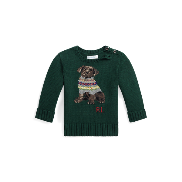 Pull col rond chien en tricot intarsia