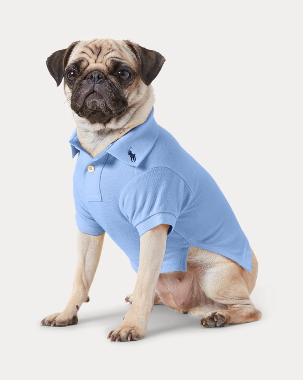 Hunde-Poloshirt aus Baumwollpiqué