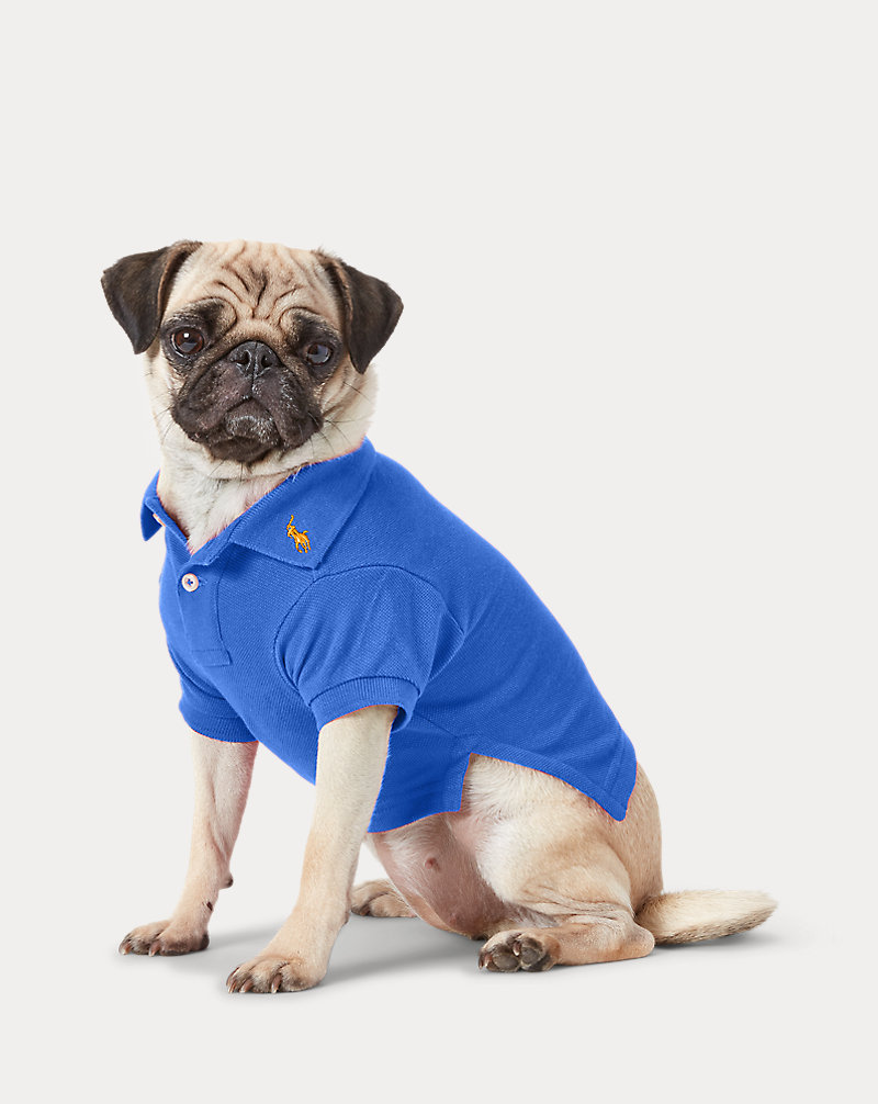 Hunde-Poloshirt aus Baumwollpiqué Polo Ralph Lauren Home 1