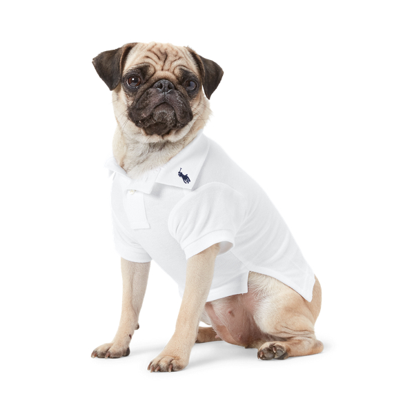 Cotton Mesh Dog Polo Shirt Polo Ralph Lauren Home 1
