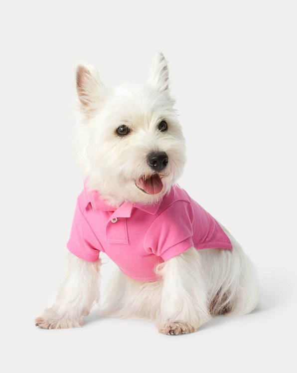 Hunde-Poloshirt aus Piqué mit Polo Bear