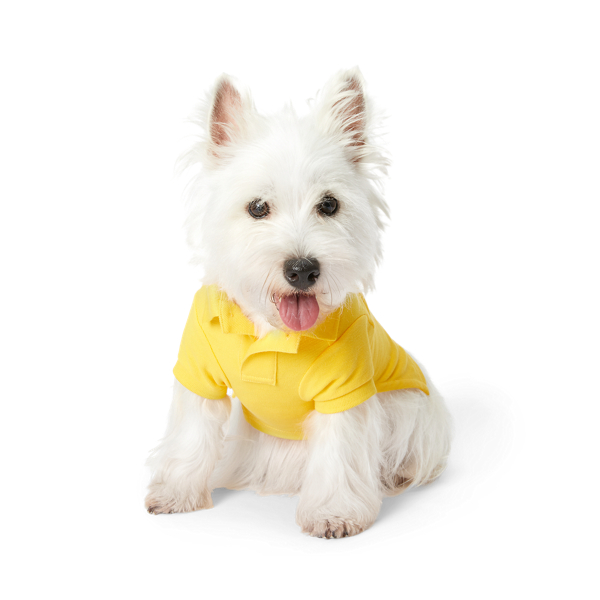 Camisa Polo para cão Polo Bear
