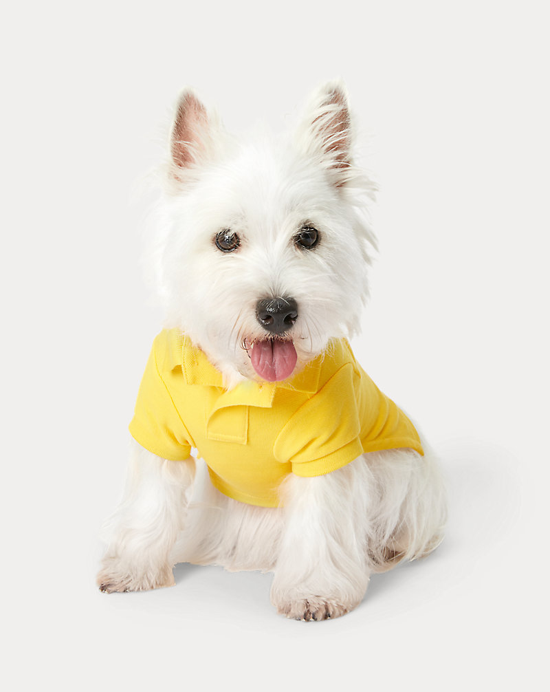 Hunde-Poloshirt aus Piqué mit Polo Bear Polo Ralph Lauren Home 1