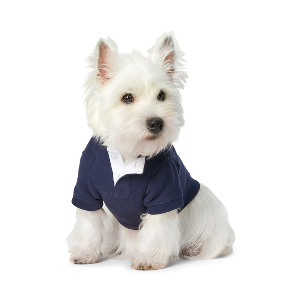 Polo Bear Fleece Dog Hoodie