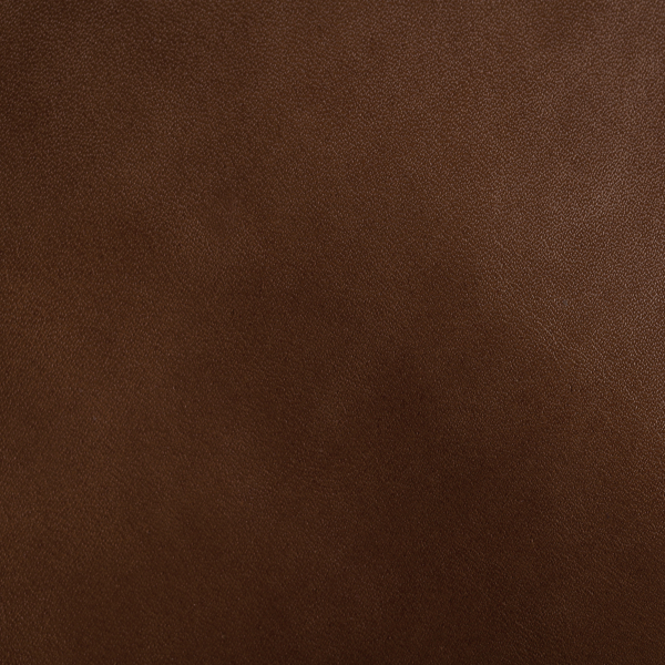 Hughes Leather Swatch – Café