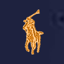French Navy