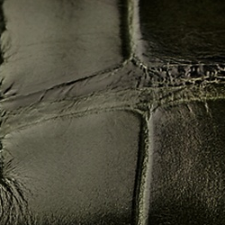 Cadran camouflage