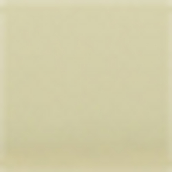 Navy, Gold