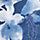 Rincon Blue Floral