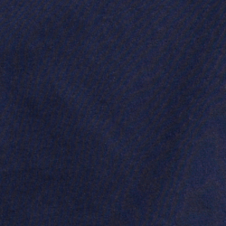 Cruise Navy