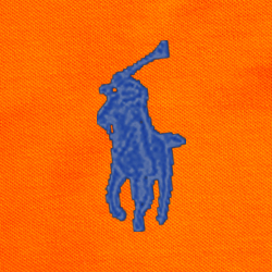 Sailing oranje