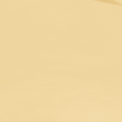 Navy / Gold