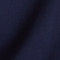 Cruise Navy