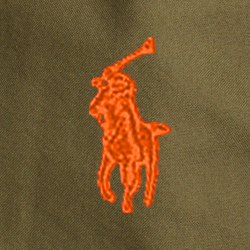 Olive canopée