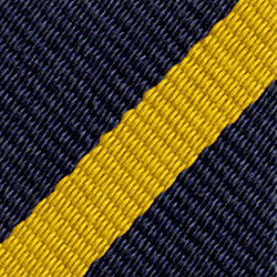 Bar Stripe Navy/Gold