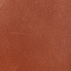 Sable cravache profond
