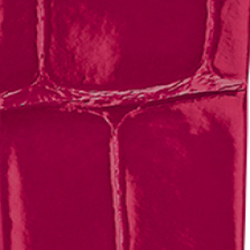 Rosa-choque #424156