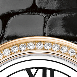 White Dial