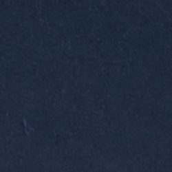 Navy / Gold